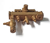 BR STD Fittings: Steam Manifold